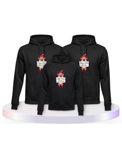 Rentier Familie Familienset Hoodies | Paarpulli