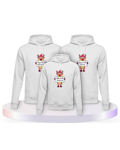 Rentier Familie Familienset Hoodies | Paarpulli