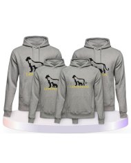 Lion Family Familienset Hoodies | Paarpulli