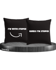 Guess I'm stupid schwarz