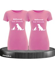 Different but Friends rosa